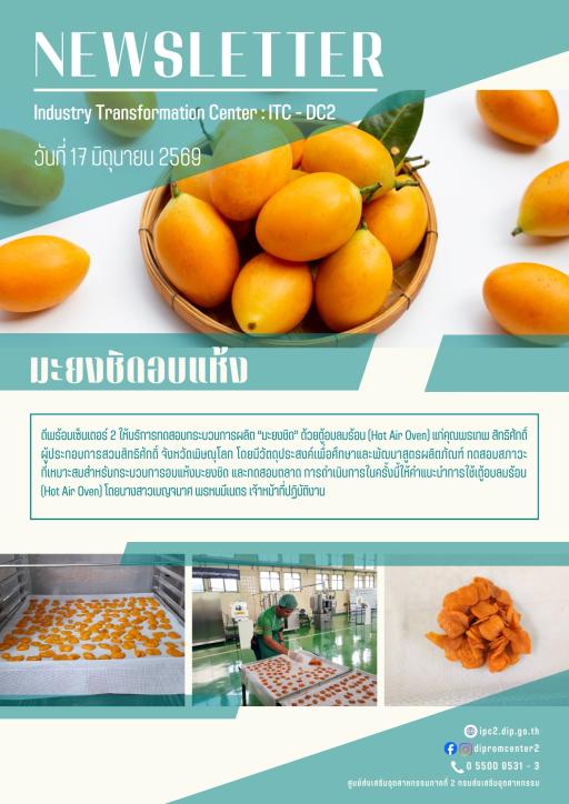 บริการทดสอบแปรรูปมะยงชิดอบแห้ง